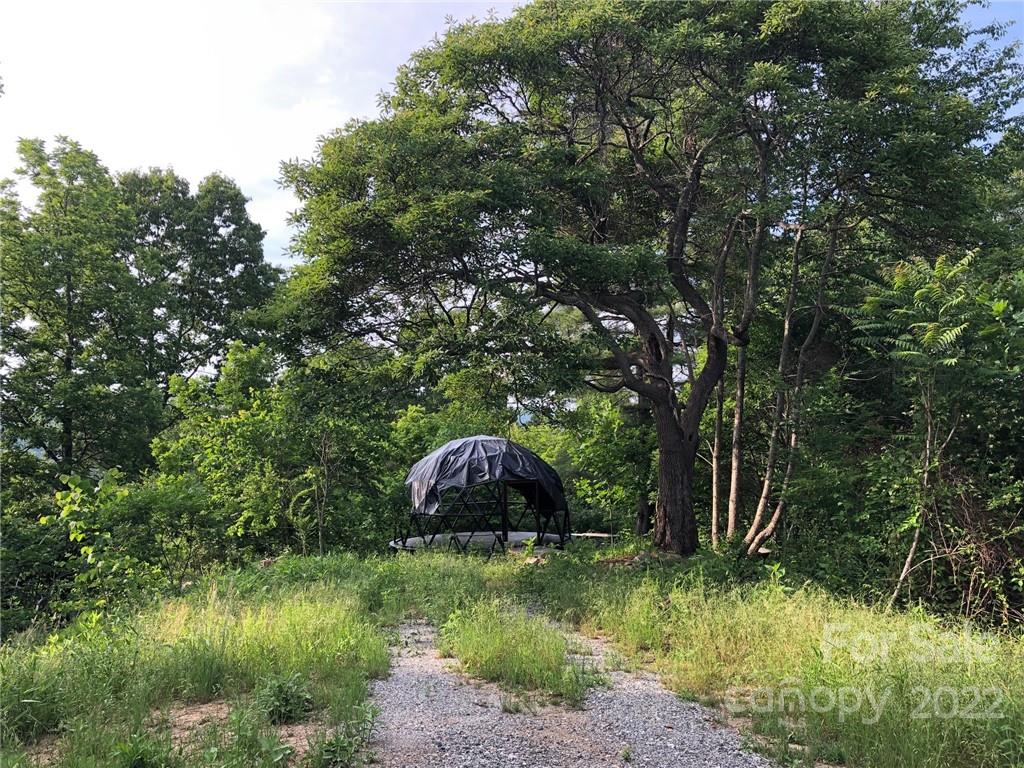 148 Oakley Freeman Road Marshall, NC 28753 - Photo 3 of 41