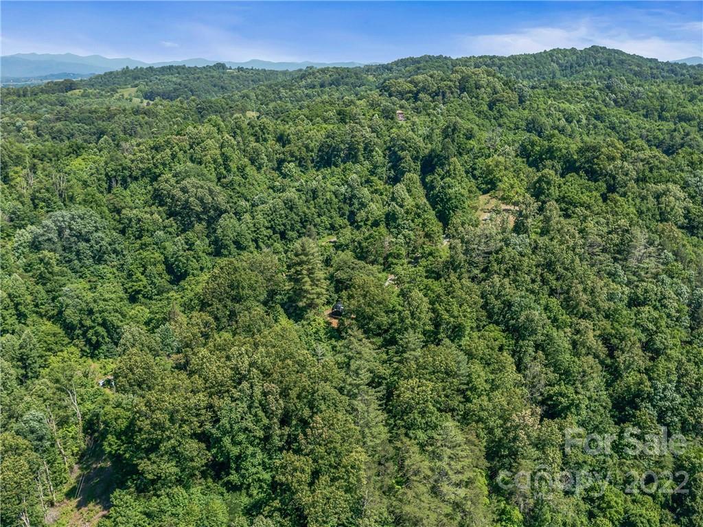 148 Oakley Freeman Road Marshall, NC 28753 - Photo 34 of 41