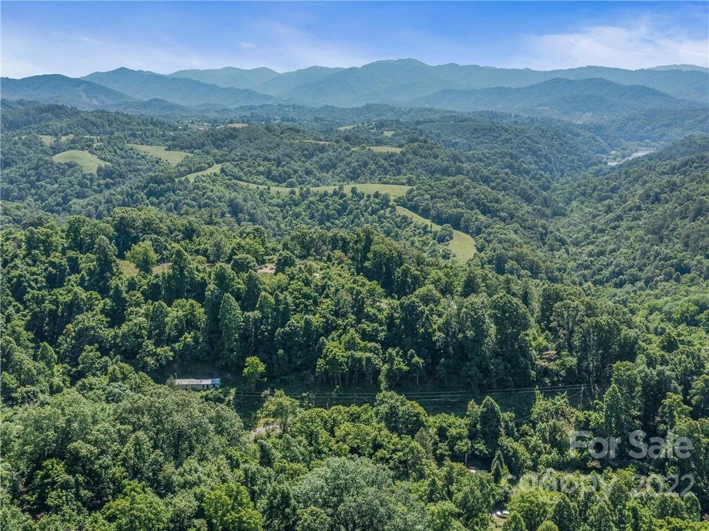 148 Oakley Freeman Road Marshall, NC 28753 - Photo 39 of 41