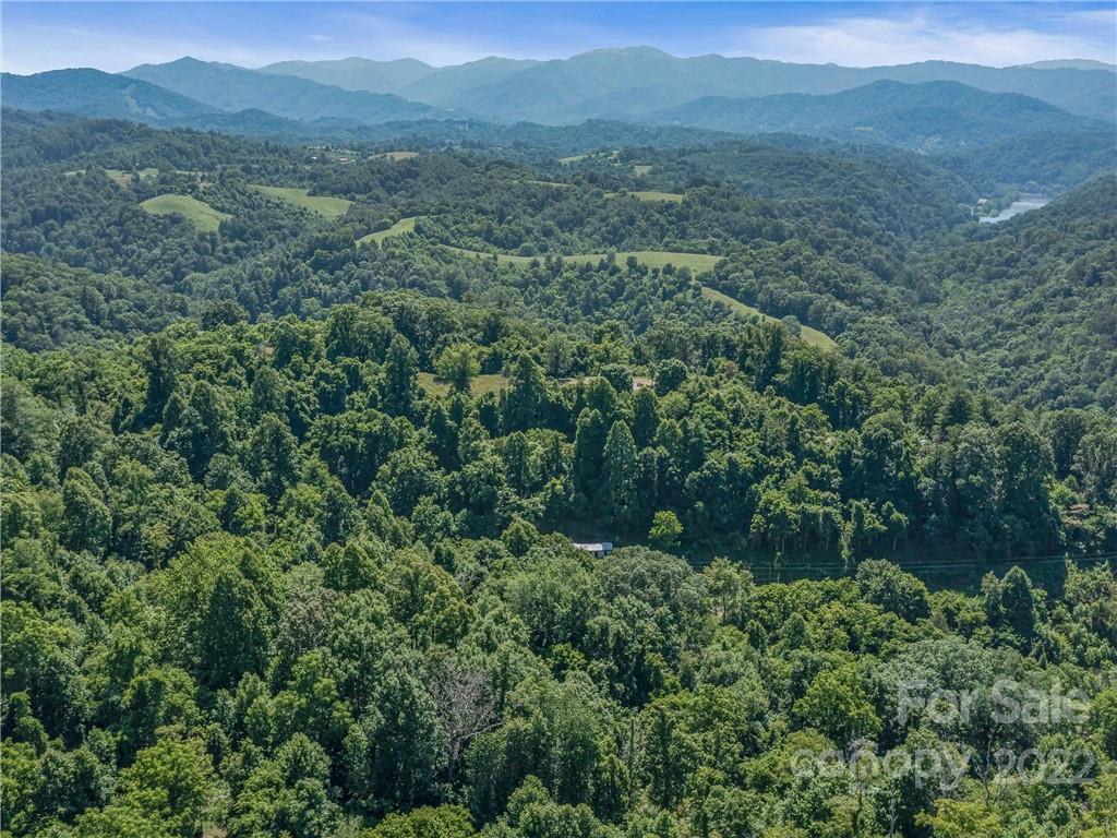 148 Oakley Freeman Road Marshall, NC 28753 - Photo 40 of 41