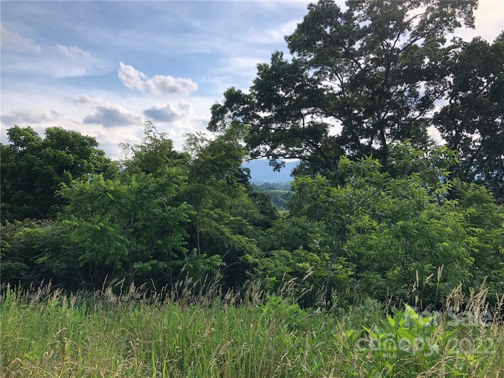 148 Oakley Freeman Road Marshall, NC 28753 - Photo 7 of 41