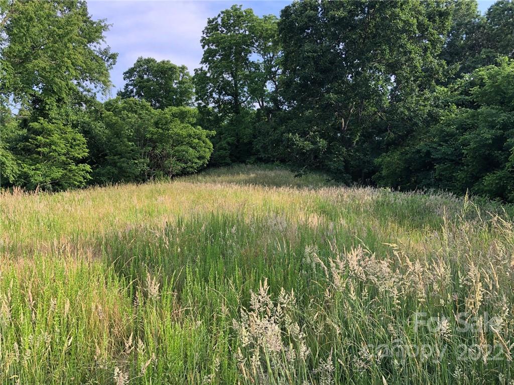 148 Oakley Freeman Road Marshall, NC 28753 - Photo 8 of 41