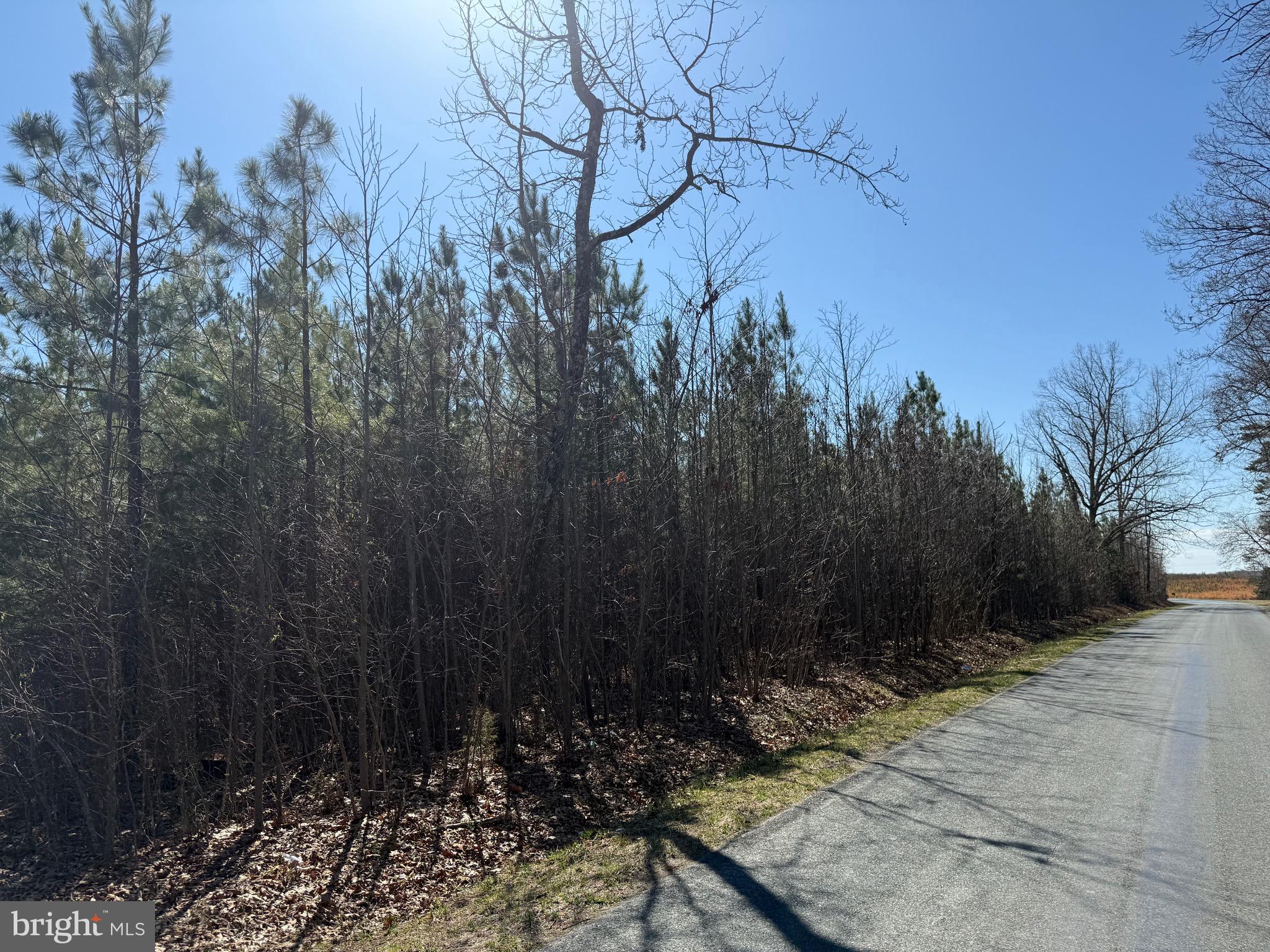 3 A Maple Bridge Road Dillwyn, VA 23936 - Photo 11 of 12