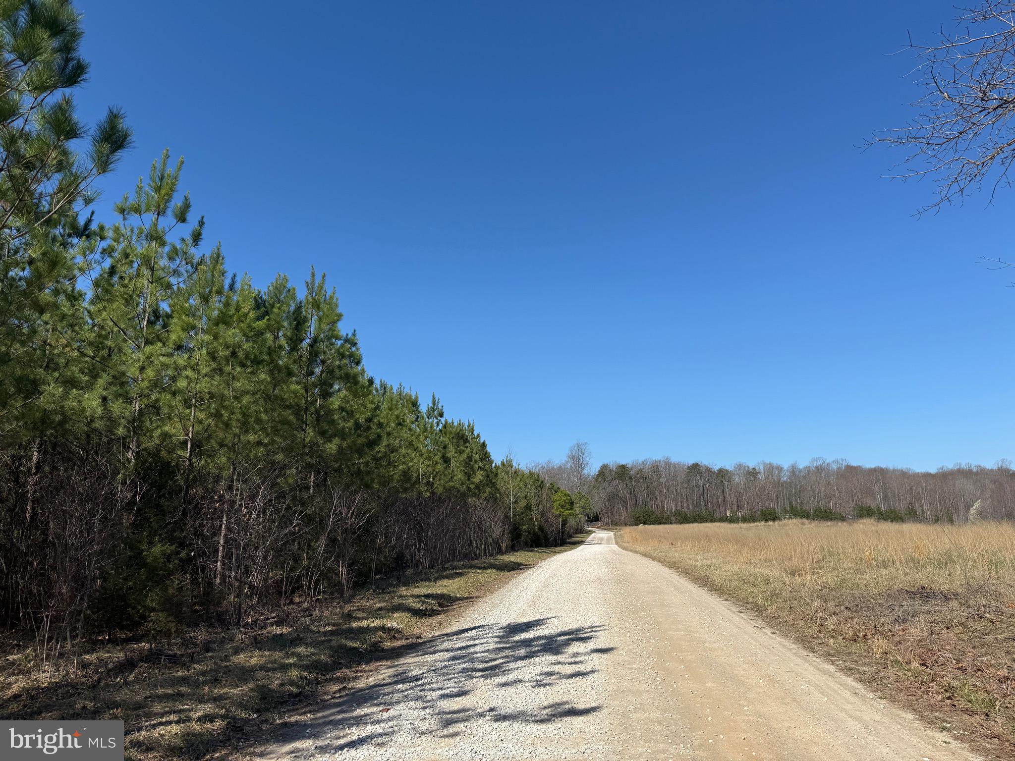 3 A Maple Bridge Road Dillwyn, VA 23936 - Photo 2 of 12