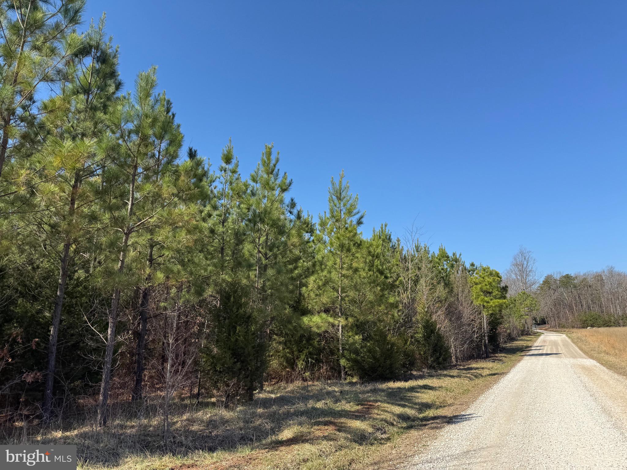 3 A Maple Bridge Road Dillwyn, VA 23936 - Photo 3 of 12