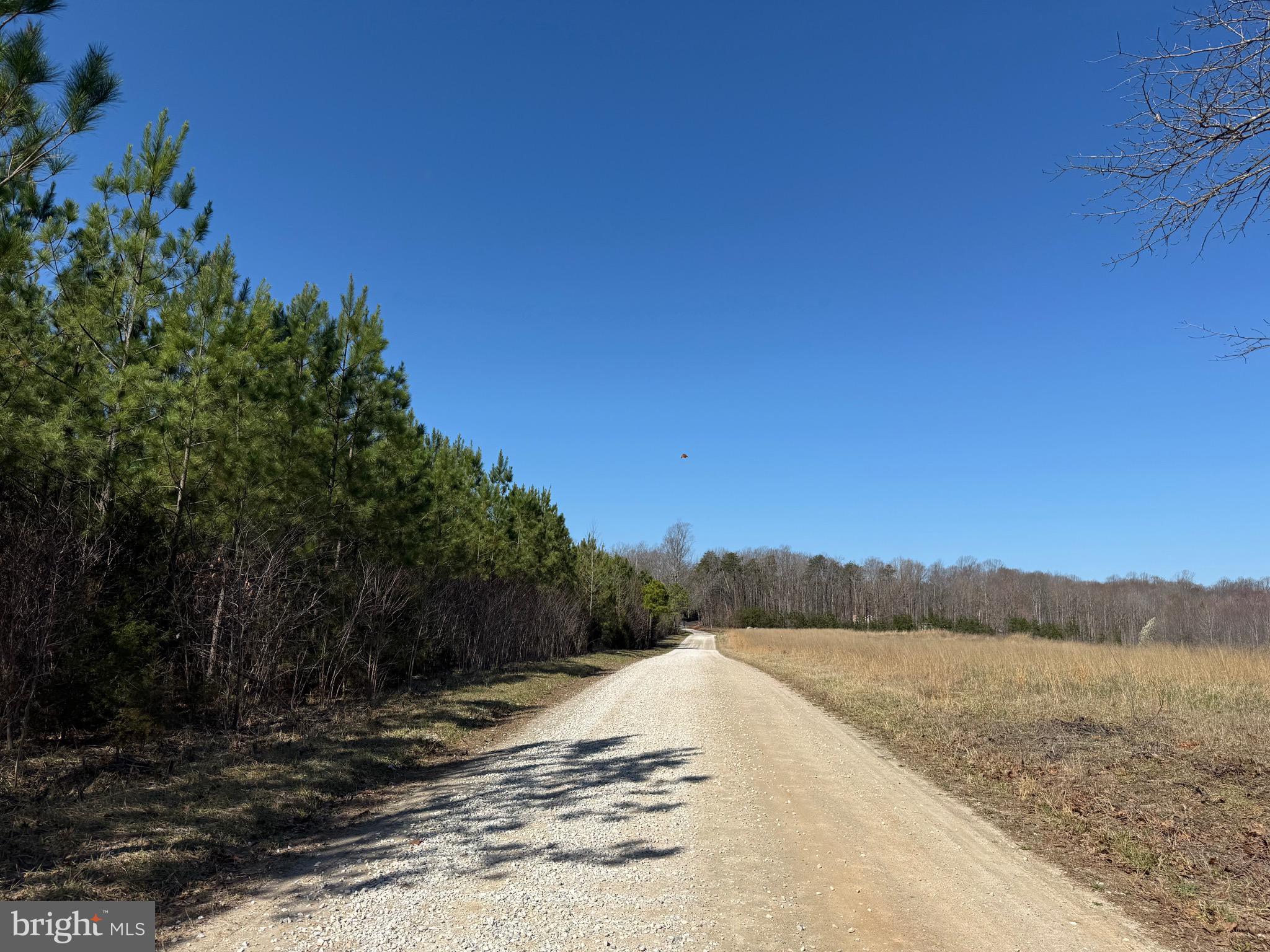 3 A Maple Bridge Road Dillwyn, VA 23936 - Photo 5 of 12