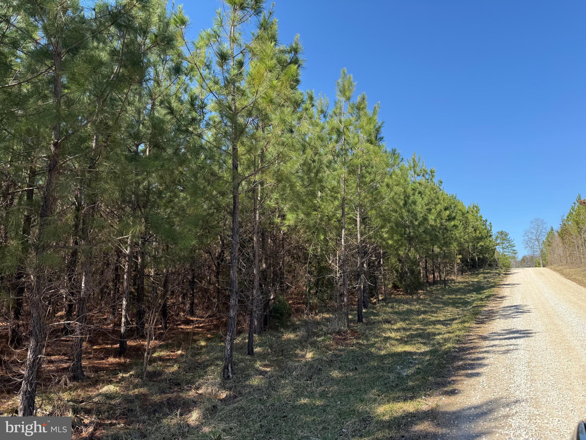 3 A Maple Bridge Road Dillwyn, VA 23936 - Photo 9 of 12