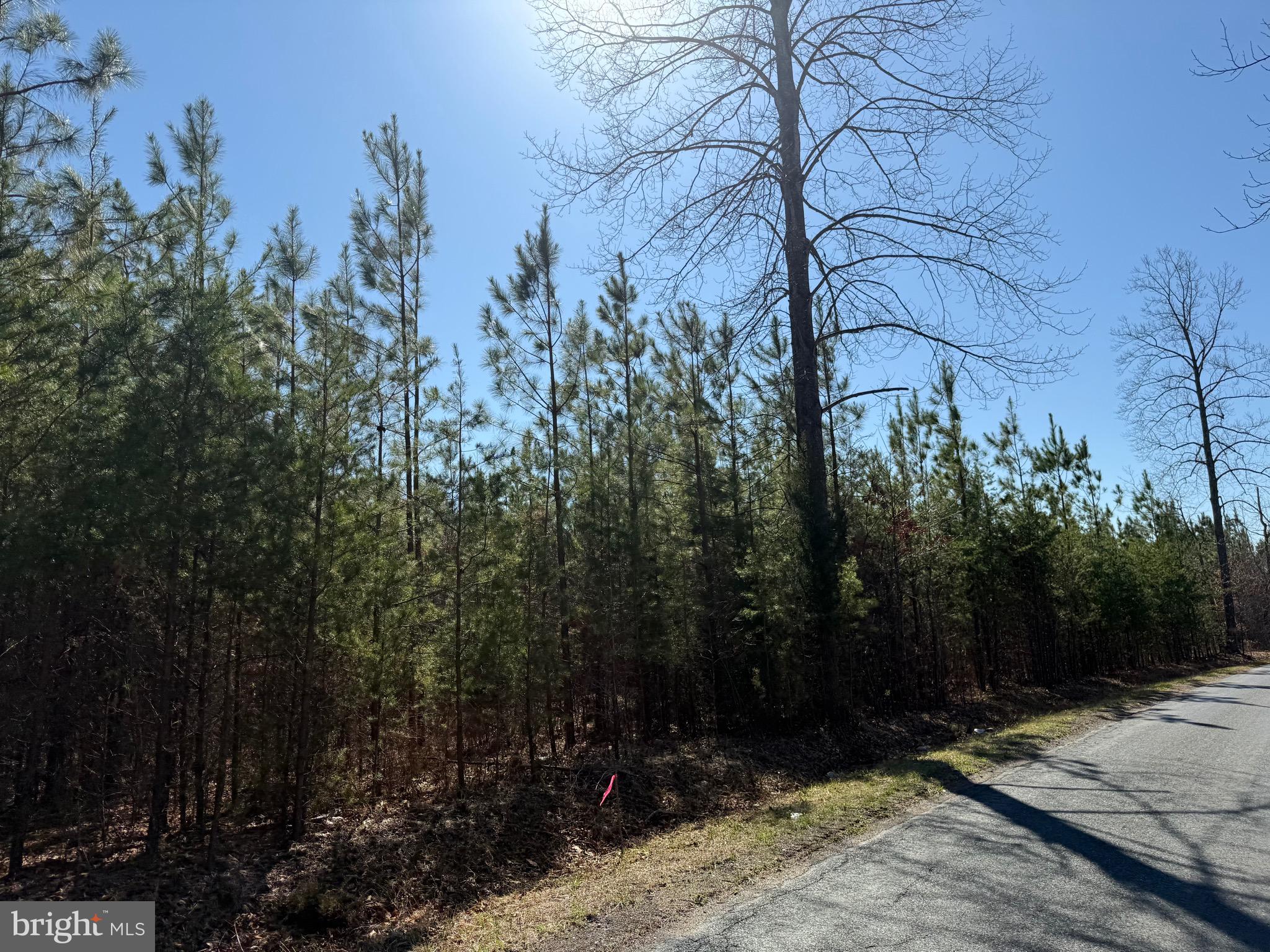 3 A Maple Bridge Road Dillwyn, VA 23936 - Photo 10 of 12