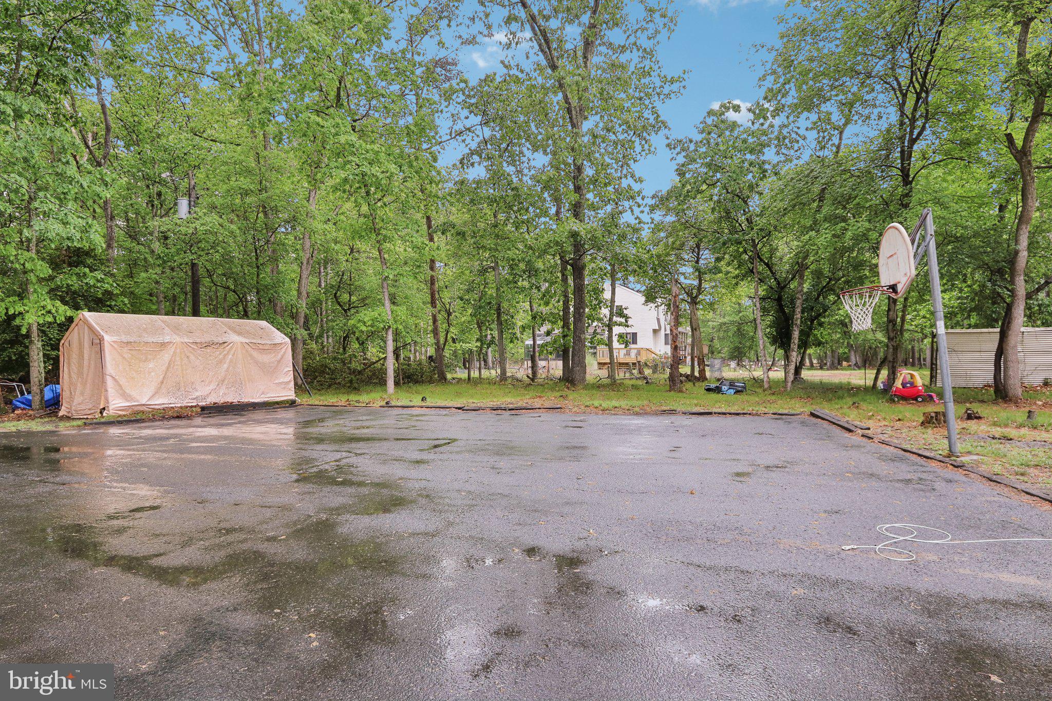 595 Tabernacle Road Medford, NJ 08055 - Photo 54 of 65 a view of road with large trees
