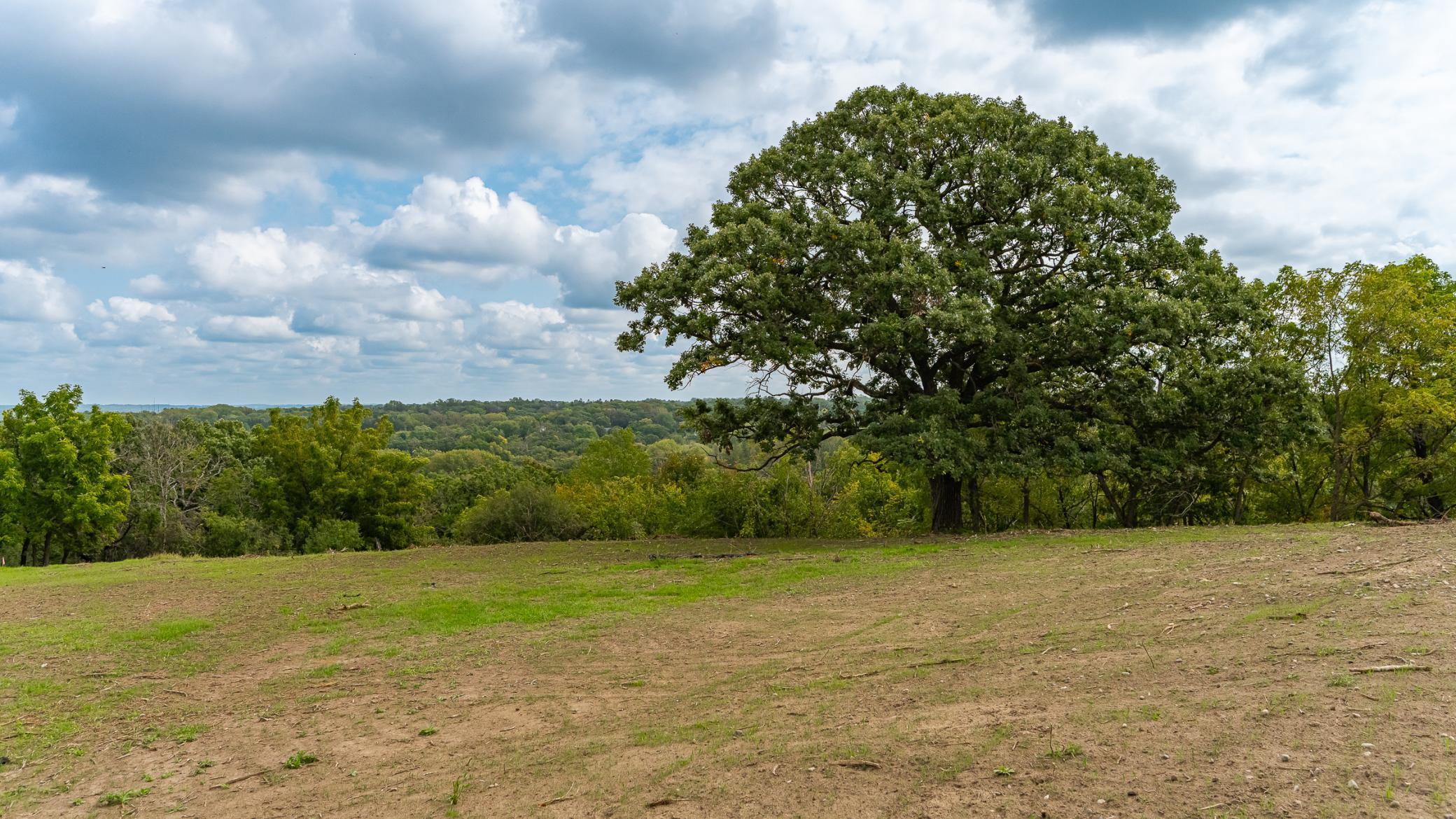 2630 Wild Rose Lane Southwest Rochester, MN 55902 - Photo 13 of 14