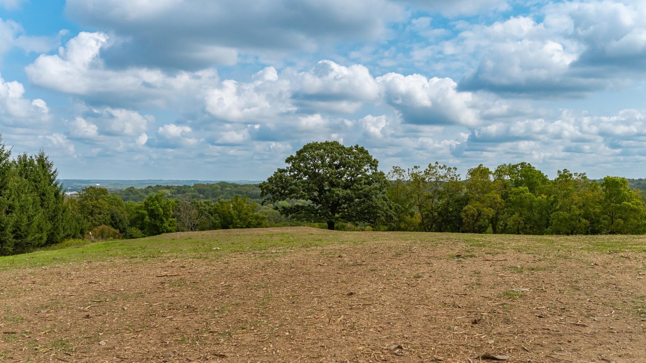 2630 Wild Rose Lane Southwest Rochester, MN 55902 - Photo 5 of 14