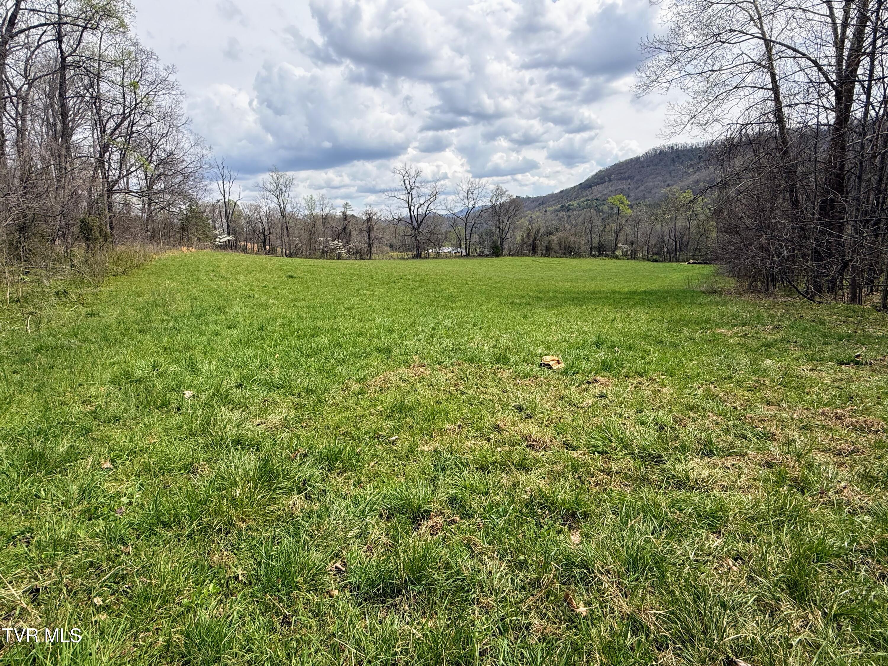 3b Rd Greeneville Tn 37743 Road Greeneville, TN 37743 - Photo 12 of 25 IMG_015