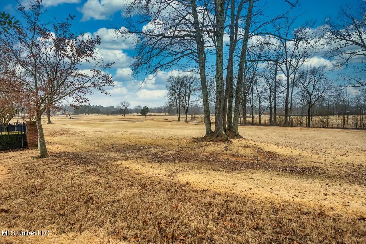 6480 Masters Drive Olive Branch, MS 38654 - Photo 25 of 29 tempImagezKm9ba