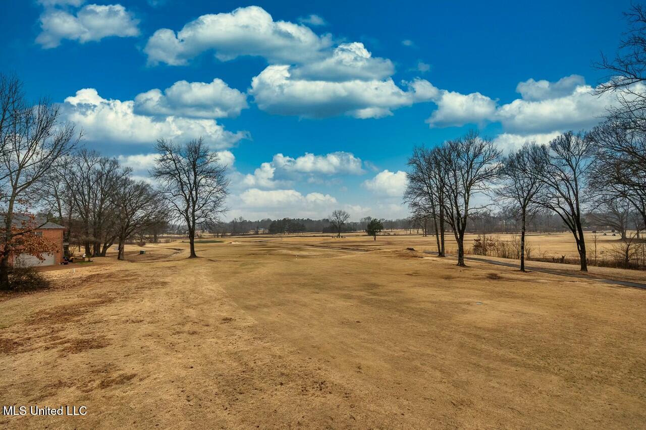 6480 Masters Drive Olive Branch, MS 38654 - Photo 29 of 29 tempImage4HxWv2