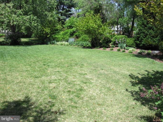 6618 Edsall Road Springfield, VA 22151 - Photo 15 of 19 Back yard