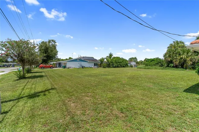 a view of yard with grass & palm trees