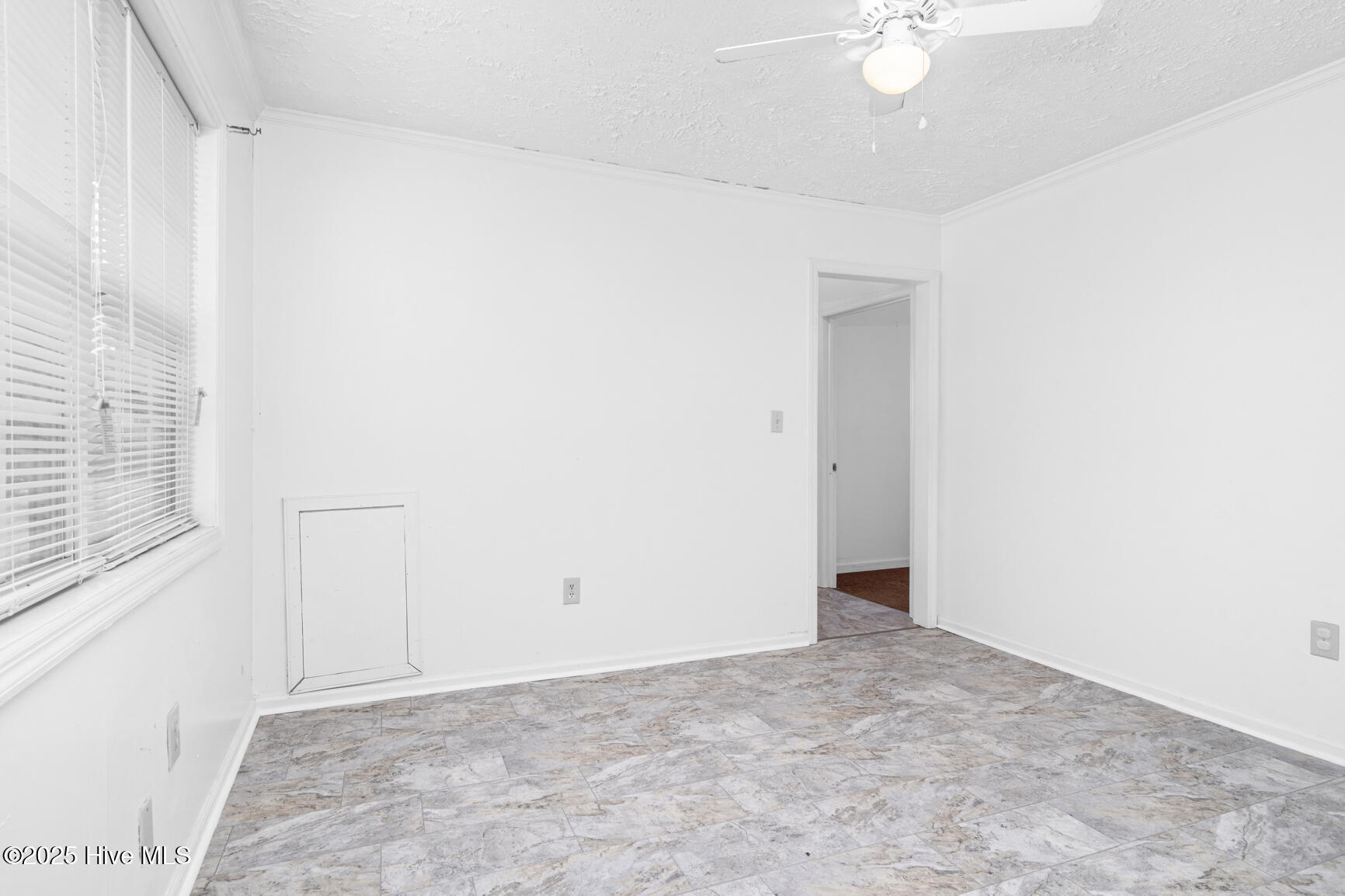 463 Lynch Cemetery Road Hollister, NC 27844 - Photo 15 of 26 015-463LynchCemeteryRoad-Hollister-NC-27