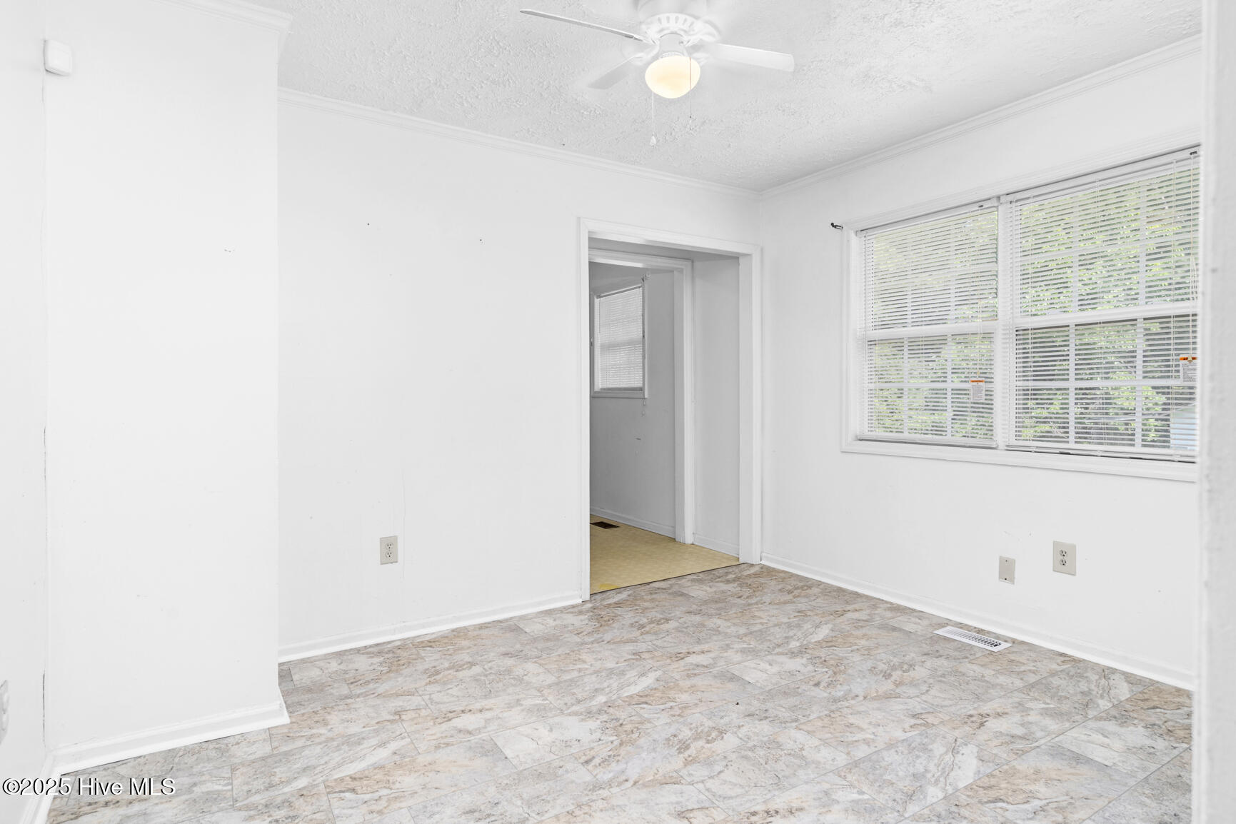 463 Lynch Cemetery Road Hollister, NC 27844 - Photo 16 of 26 016-463LynchCemeteryRoad-Hollister-NC-27