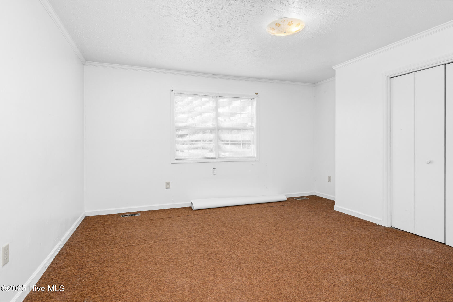 463 Lynch Cemetery Road Hollister, NC 27844 - Photo 17 of 26 017-463LynchCemeteryRoad-Hollister-NC-27