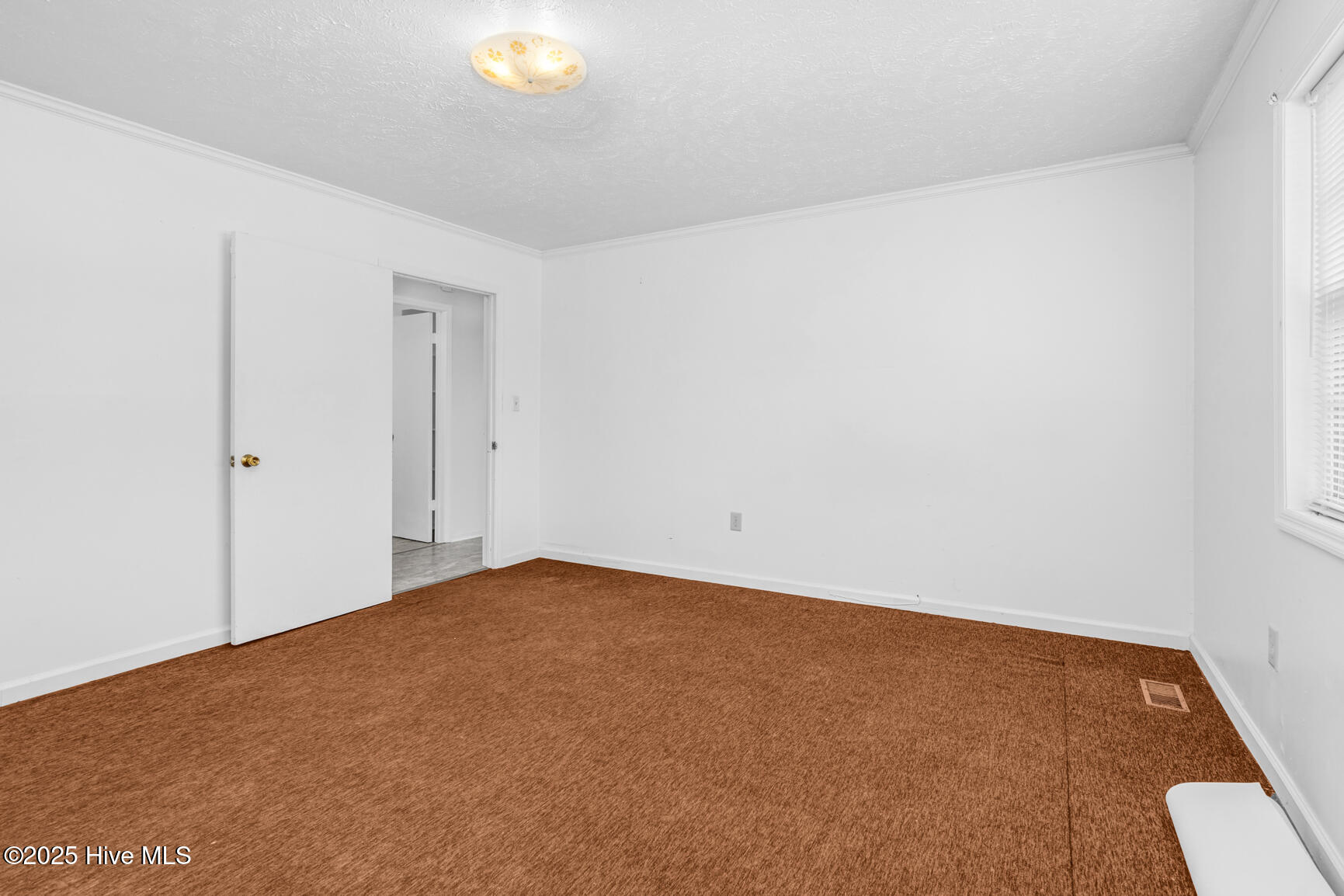 463 Lynch Cemetery Road Hollister, NC 27844 - Photo 18 of 26 018-463LynchCemeteryRoad-Hollister-NC-27