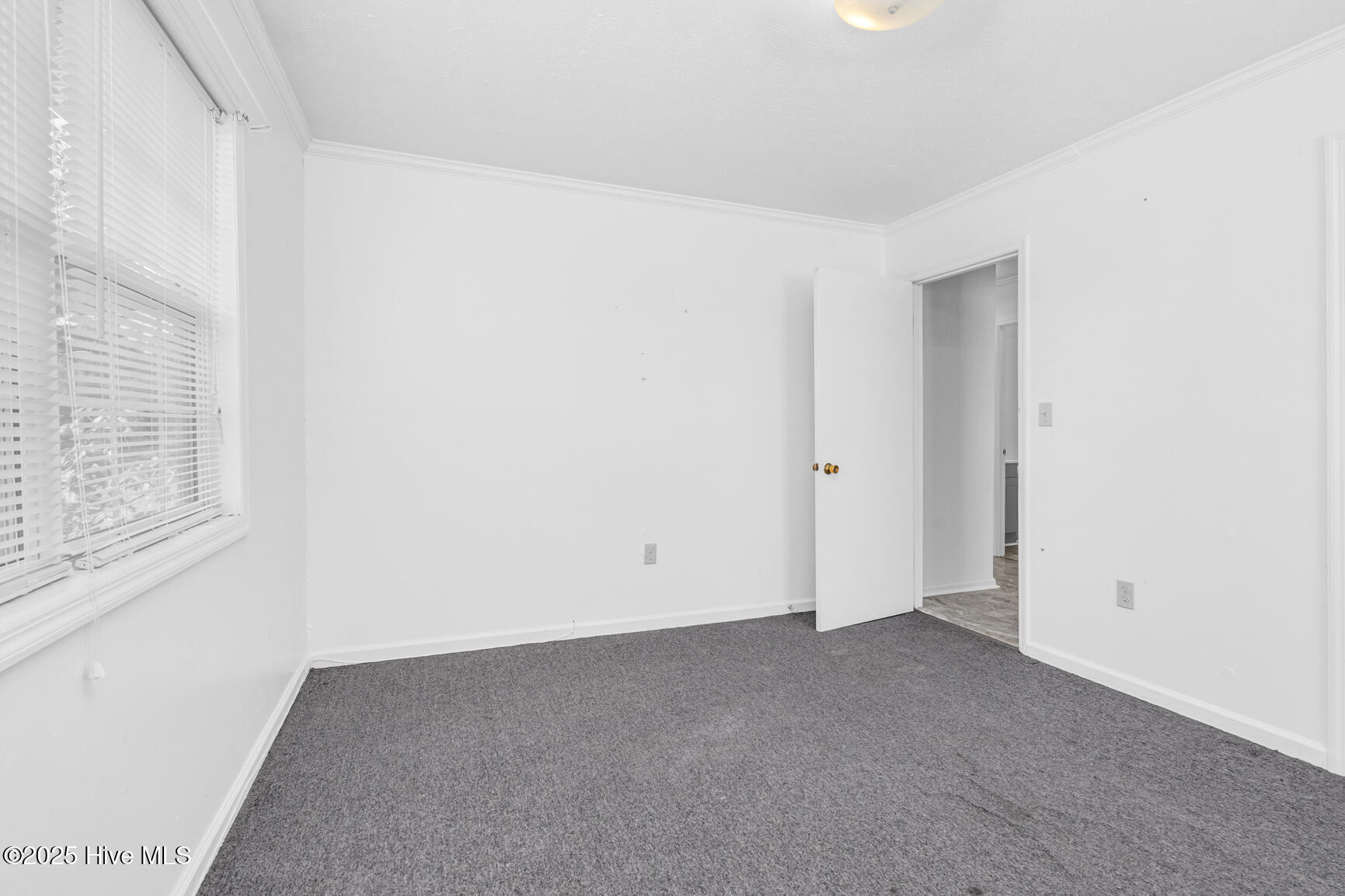 463 Lynch Cemetery Road Hollister, NC 27844 - Photo 22 of 26 022-463LynchCemeteryRoad-Hollister-NC-27