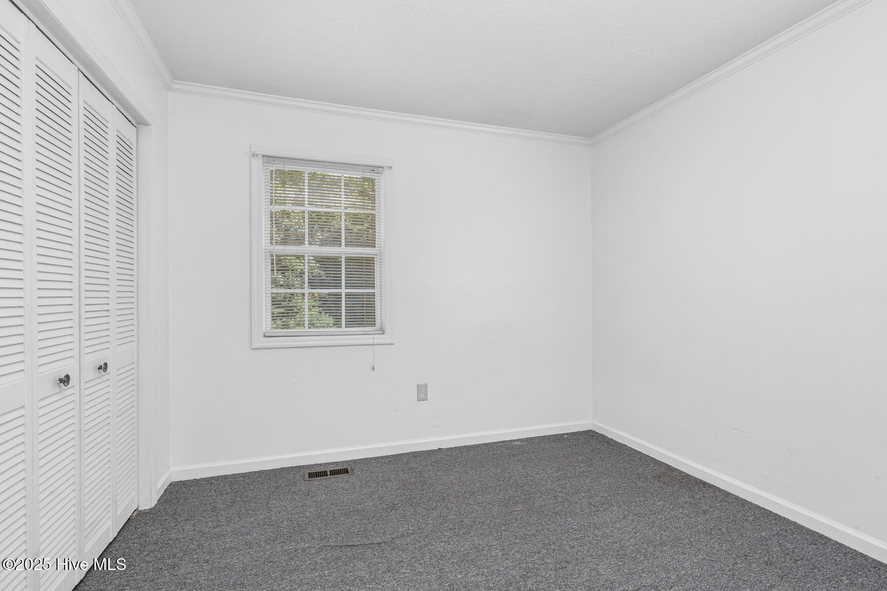 463 Lynch Cemetery Road Hollister, NC 27844 - Photo 23 of 26 023-463LynchCemeteryRoad-Hollister-NC-27