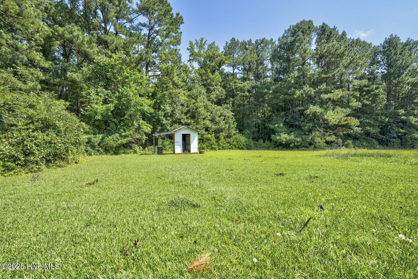 463 Lynch Cemetery Road Hollister, NC 27844 - Photo 25 of 26 025-463LynchCemeteryRoad-Hollister-NC-27