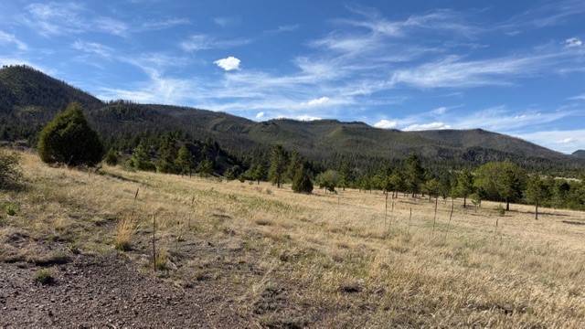 24.61-acres Los Alamitos Road Chacon, NM 87713 - Photo 6 of 12