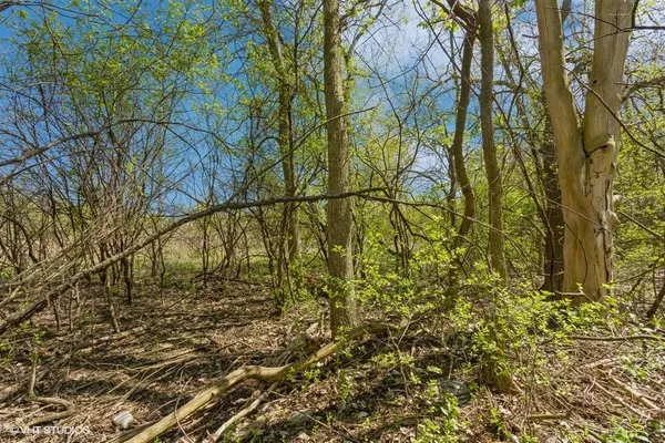 $449,000 | 1630 Myrtle Park Street, Roselle, IL 60172