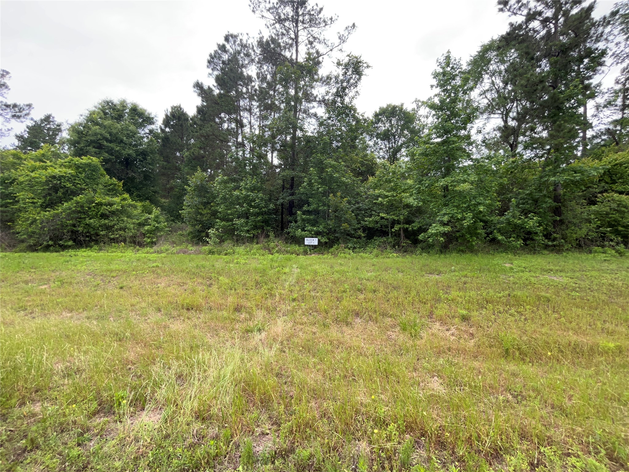 15841 Ridge Rock Road Willis, TX 77378 - Photo 1 of 9
