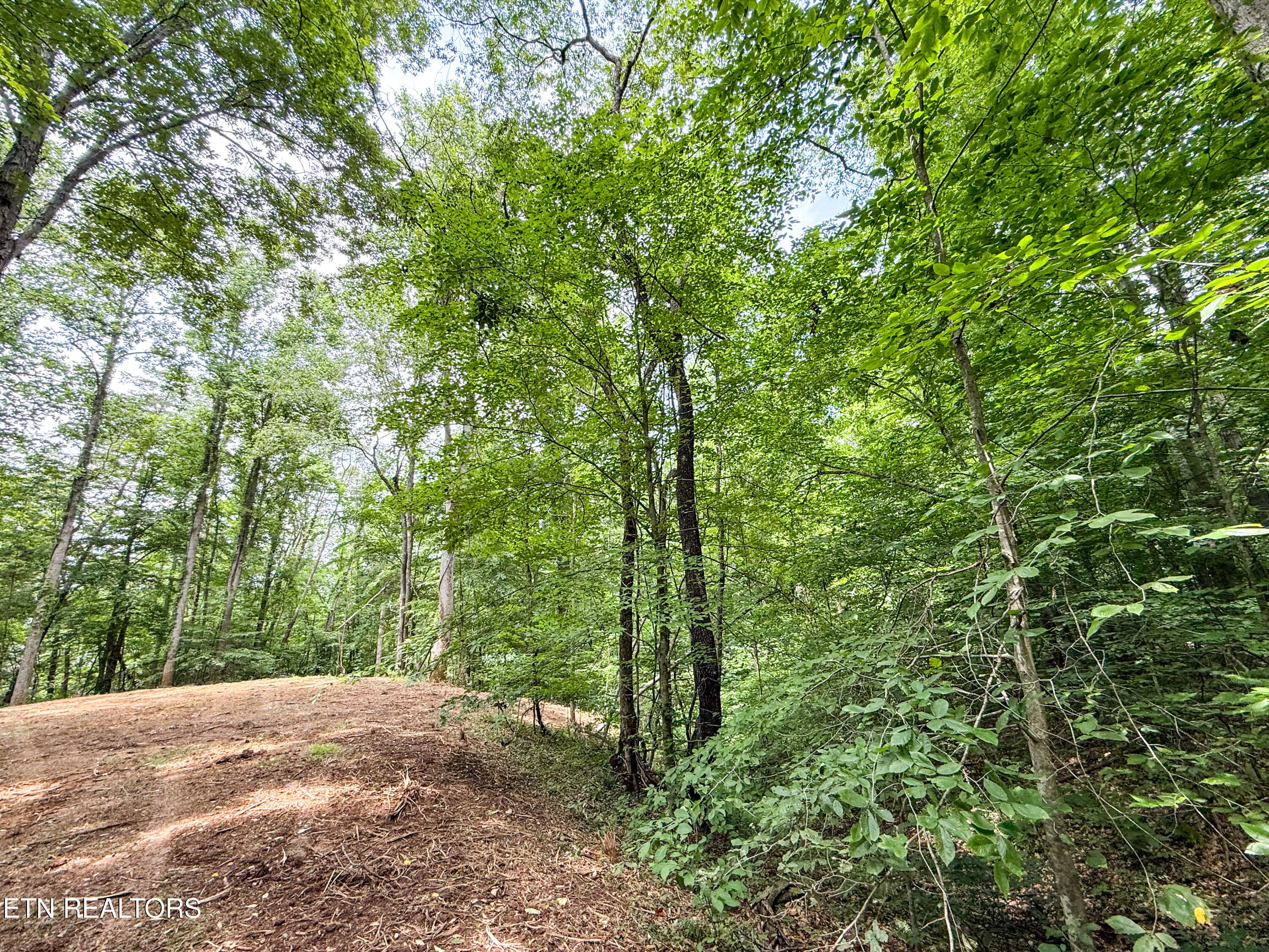 Forest Creek Parkway Oak Ridge, TN 37830 - Photo 11 of 12 Photo Jun 11 2025, 2 18 20 PM