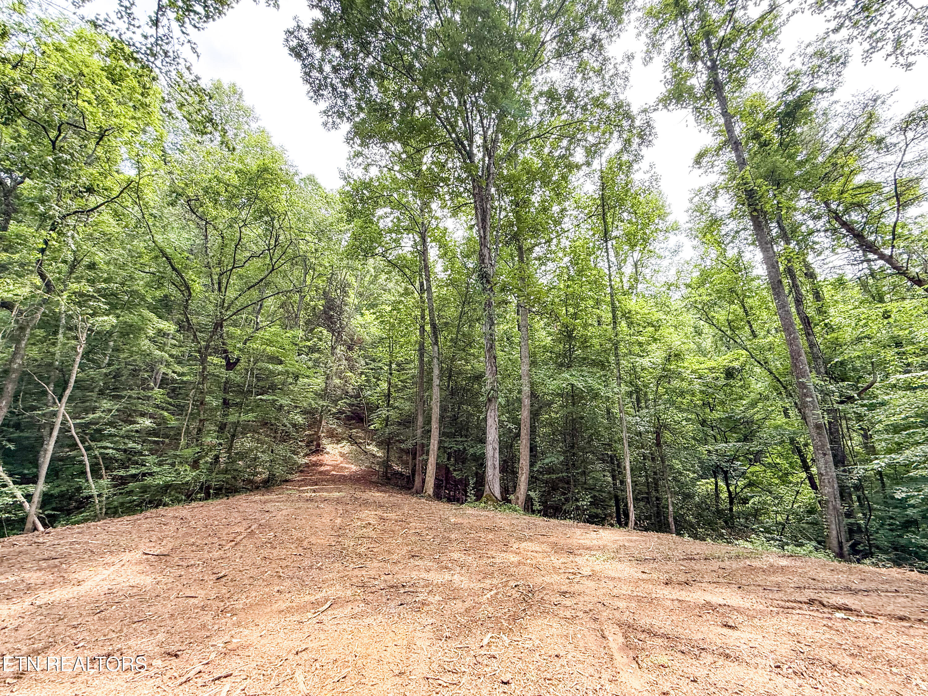 Forest Creek Parkway Oak Ridge, TN 37830 - Photo 2 of 12 Photo Jun 11 2025, 2 16 56 PM