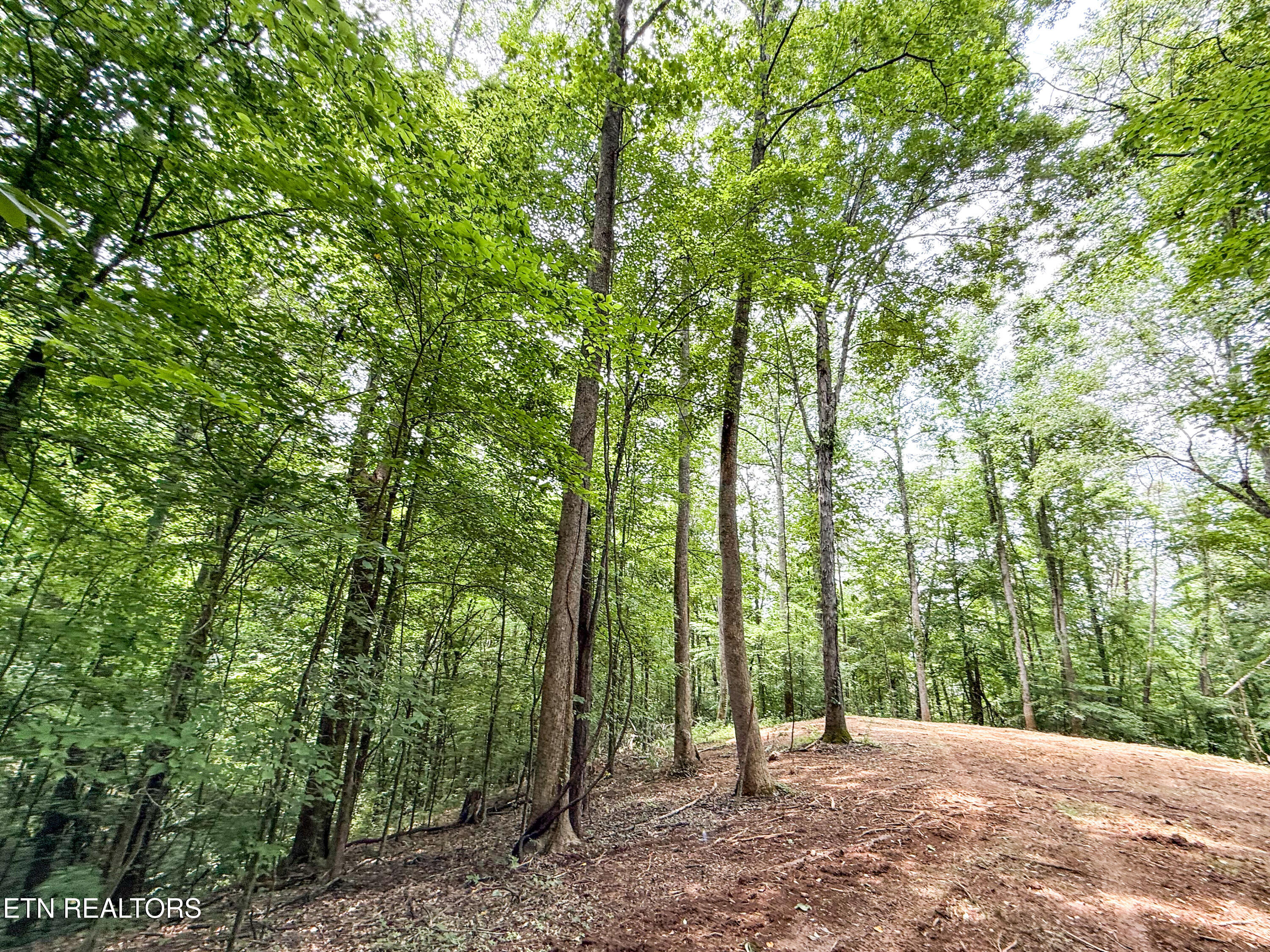 Forest Creek Parkway Oak Ridge, TN 37830 - Photo 10 of 12 Photo Jun 11 2025, 2 18 18 PM