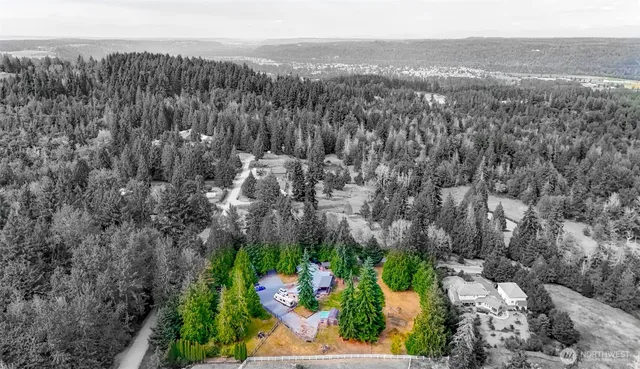 a view of a yard with plants