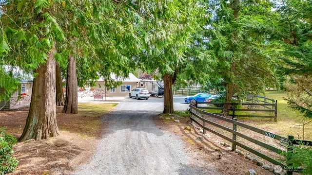 a view of a park with large trees