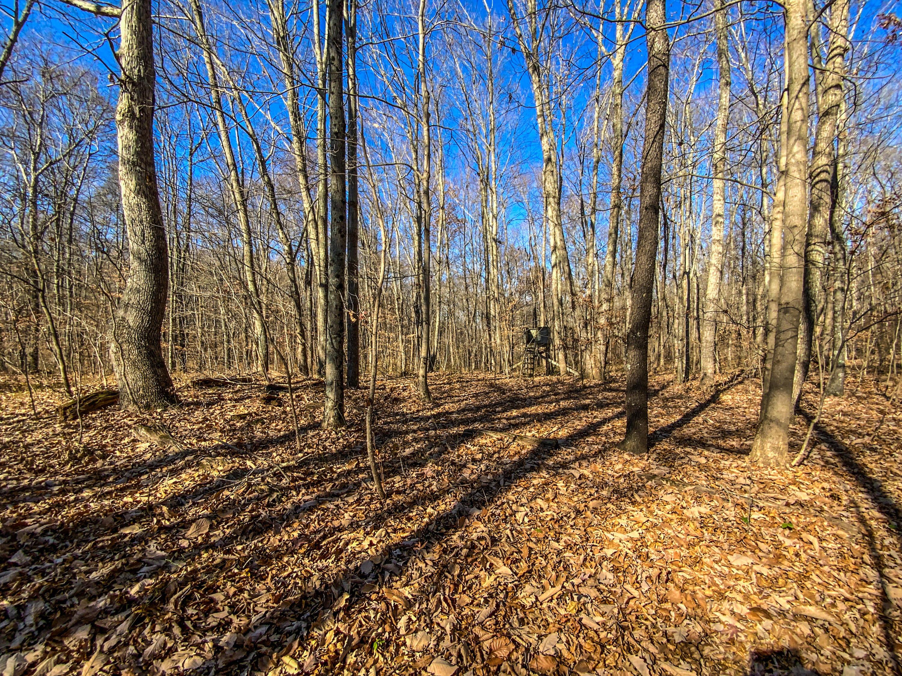 400 Bloomfield Road Piketon, OH 45661 - Photo 29 of 47 EF5A3101-E631-46C2-AC01-264968873679