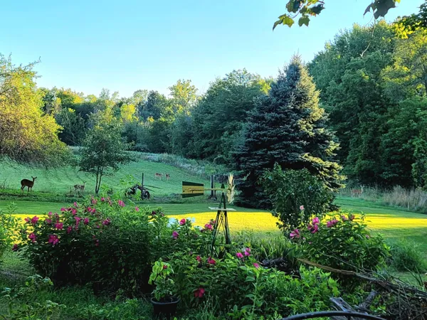 $338,000 | 4885 Gavin Lake Road Northeast, Ada, MI 49301