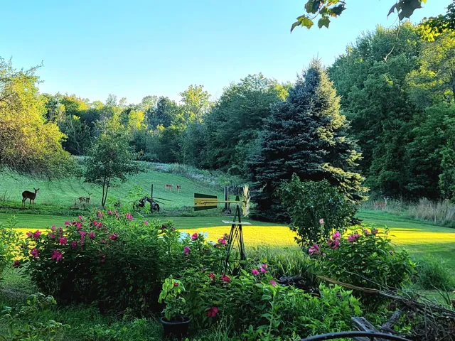 $350,000 | 4885 Gavin Lake Road Northeast, Ada, MI 49301