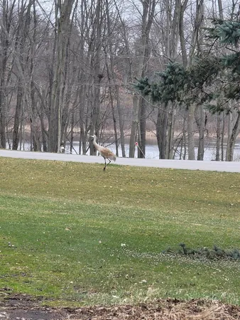 $338,000 | 4885 Gavin Lake Road Northeast, Ada, MI 49301