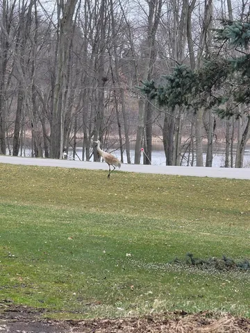 $350,000 | 4885 Gavin Lake Road Northeast, Ada, MI 49301