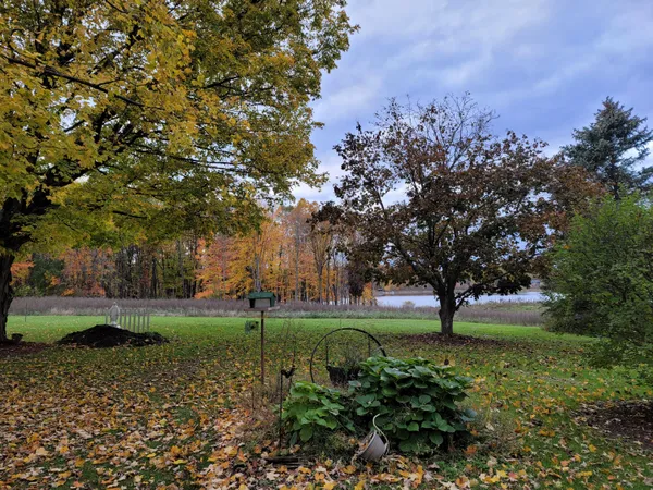 $338,000 | 4885 Gavin Lake Road Northeast, Ada, MI 49301