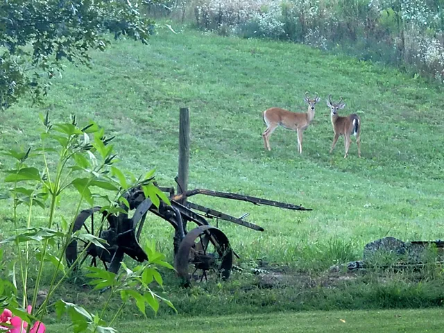 $350,000 | 4885 Gavin Lake Road Northeast, Ada, MI 49301