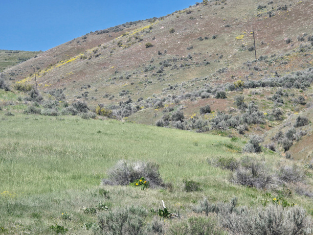8400 North Treasurton Road Preston, ID 83263 - Photo 3 of 13 Expansive hillside lot featuring diverse natural vegetation and a clear blue sky