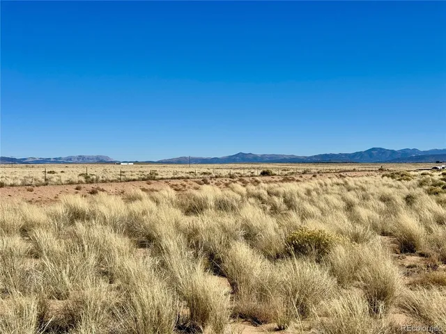 a view of a dry yard with wooden fence