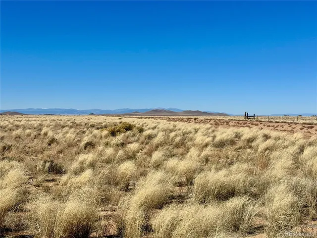 a view of an ocean from a yard