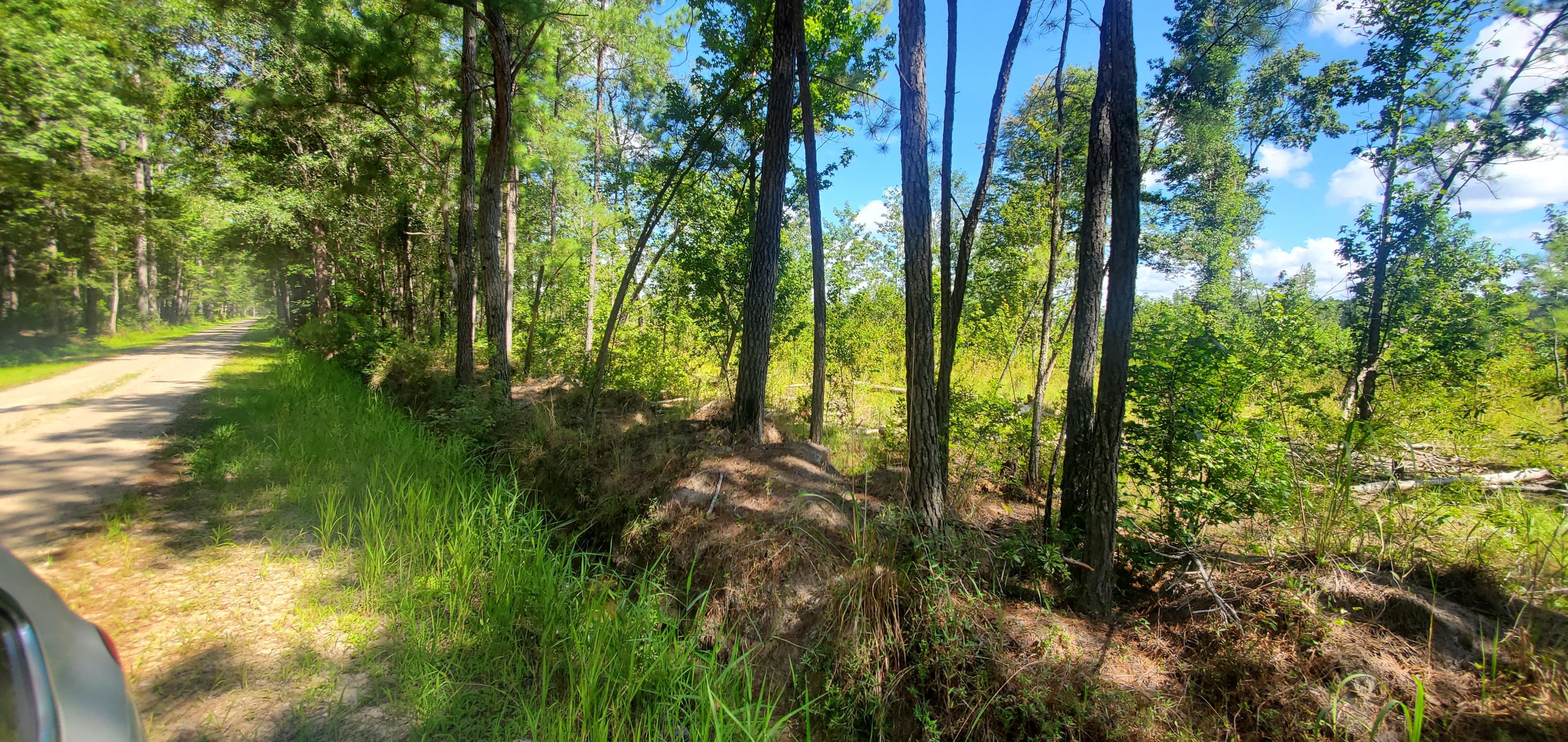 0 Big Hill Road Ruffin, SC 29475 - Photo 4 of 7 20200722_104920