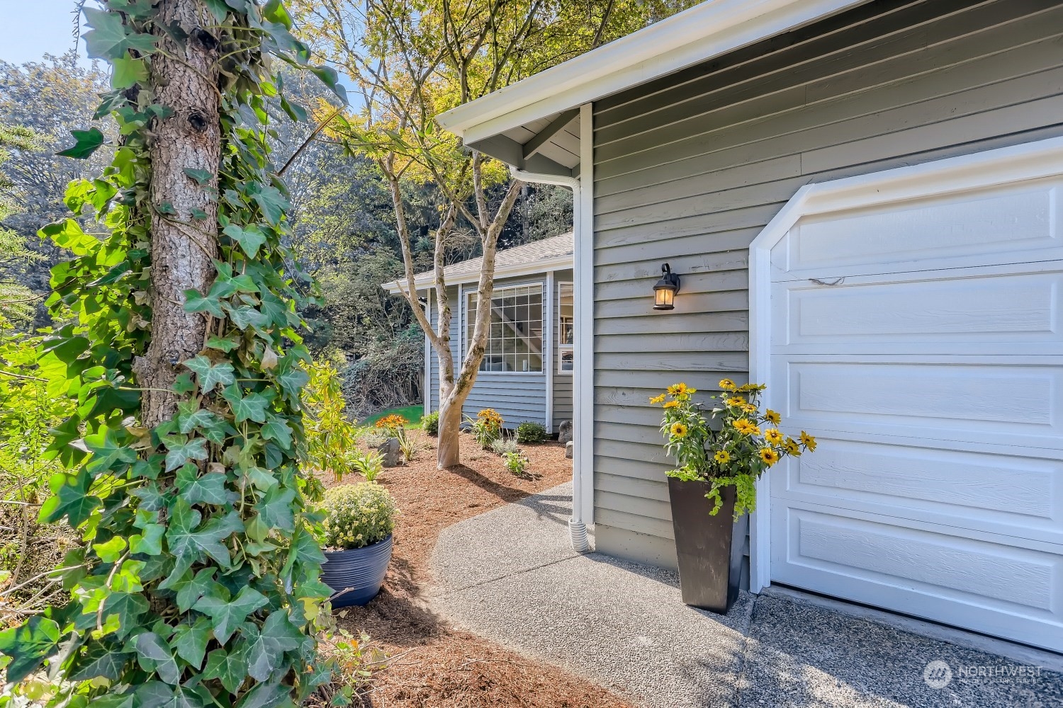 2626 242nd Place Southeast Bothell, WA 98021 - Photo 2 of 26 a potted plant sitting in front of a house