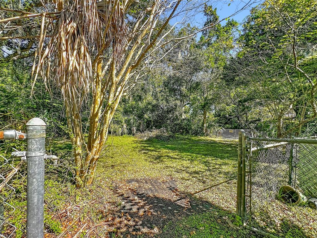 7802 Mizell Street Coleman, FL 34785 - Photo 28 of 44 a view of a yard with plants and large trees
