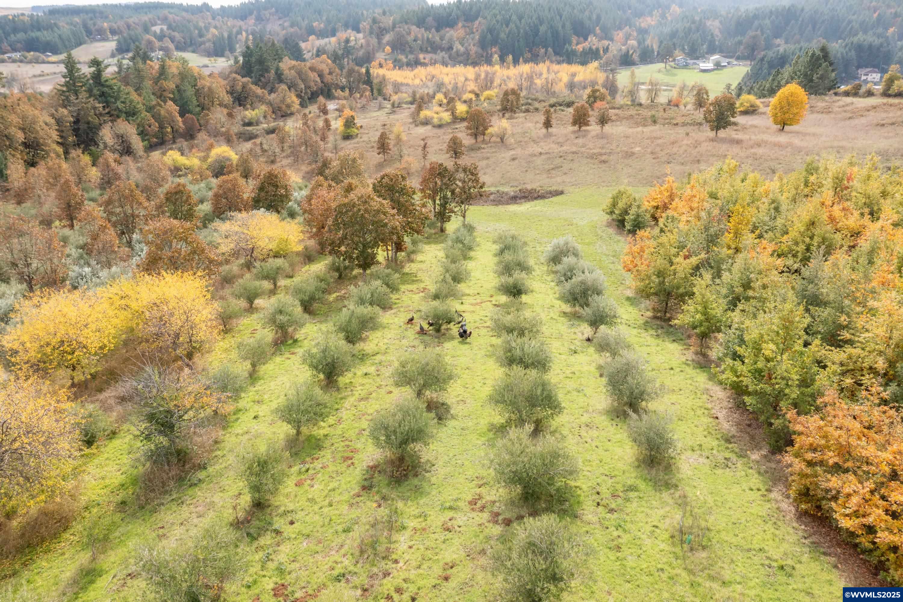 2535 Liberty Road Dallas, OR 97338 - Photo 47 of 50