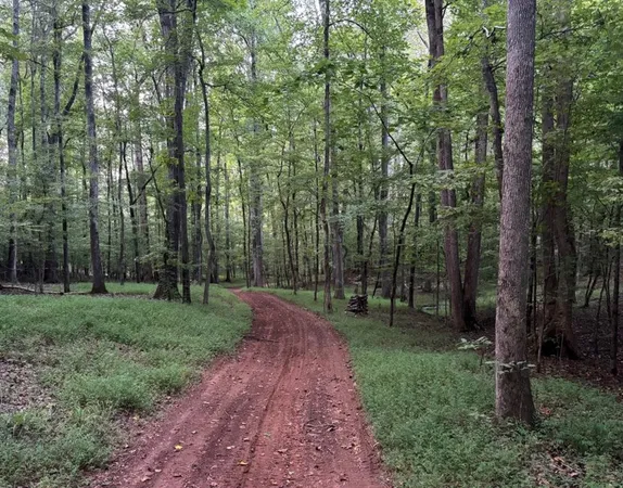 $5,500,000 | Undisclosed Address, McDonough, GA 30252